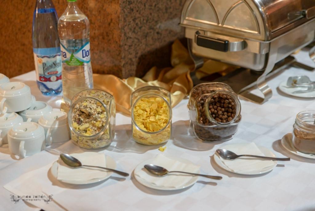Hotel Rivulus Baia Mare Ngoại thất bức ảnh